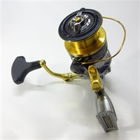 １７ＢＢーＸデスピナ２５００Ｄ